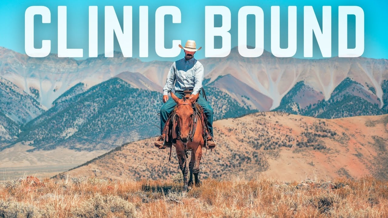 The TRUTH About Ty Evans Mule Clinics