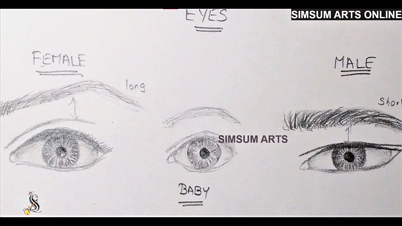Easy 3D Eye Basics Drawing/ Male Eye/ Female Eye/ Baby Eye/ Differences shown in easy manner