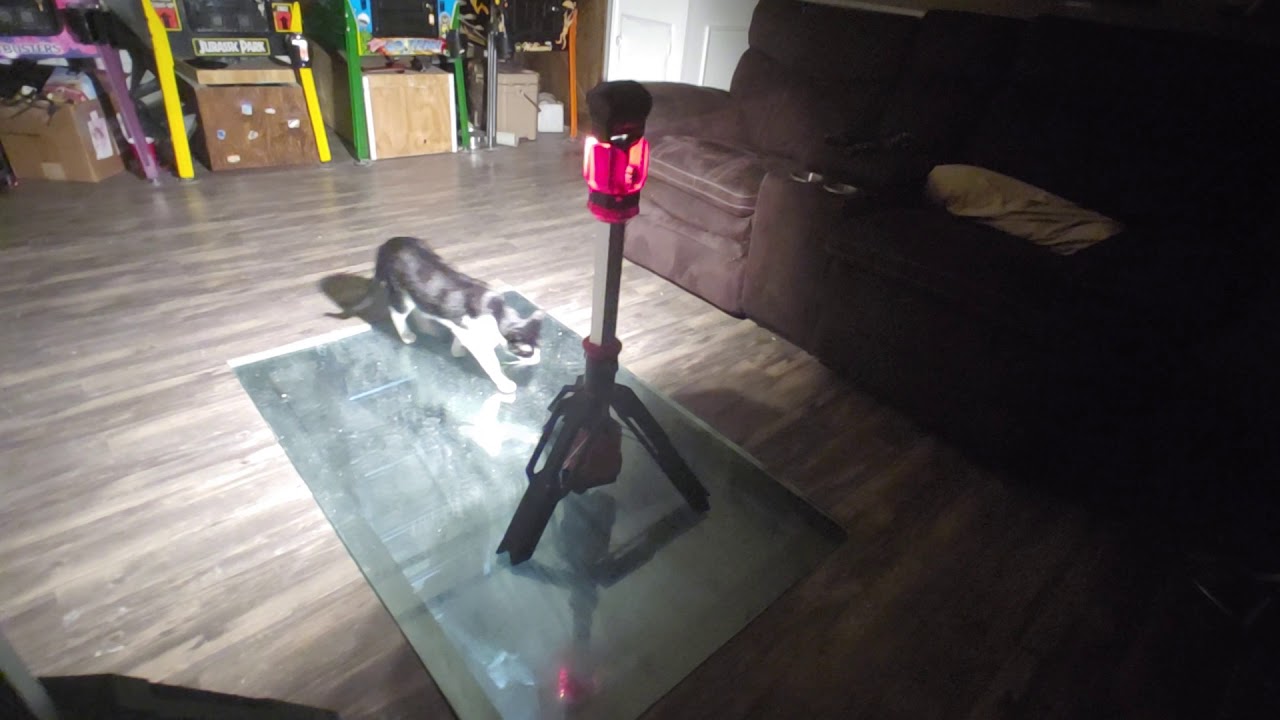 M12 Rocket light vs M18 Rocket light