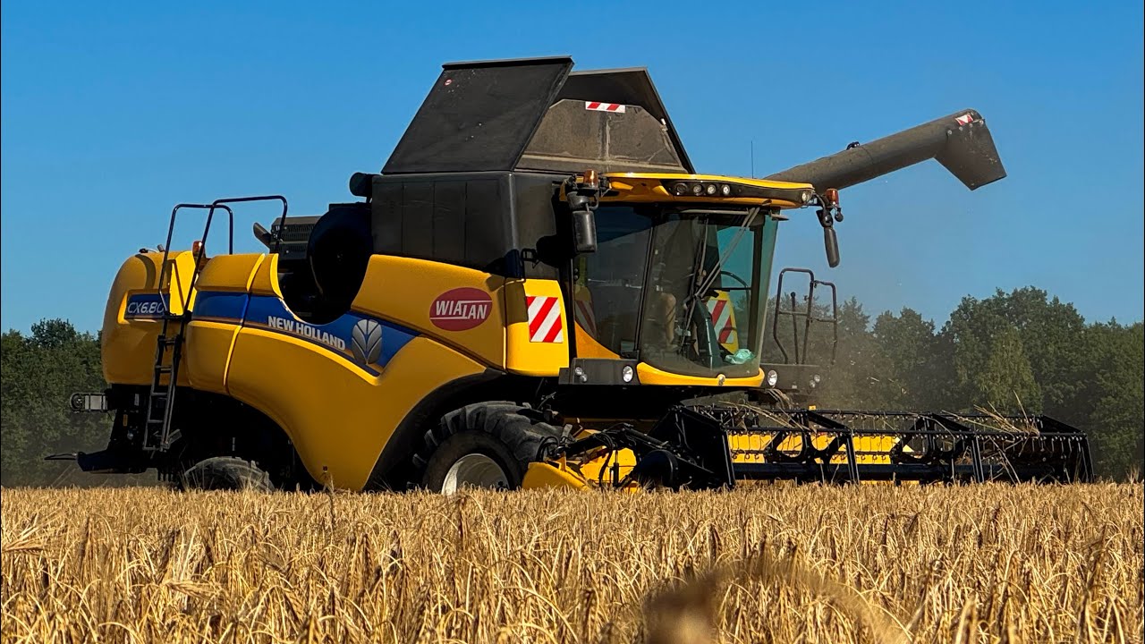 Pierwsi w Małopolsce ! ŻNIWA 2025 / NH cx6.80 & Claas Axion 870 ㋡