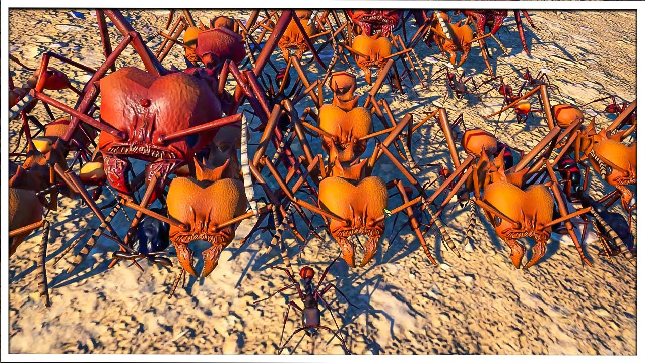 RAINFOREST ANTS Combined Challenge | Empires Of The Undergrowth
