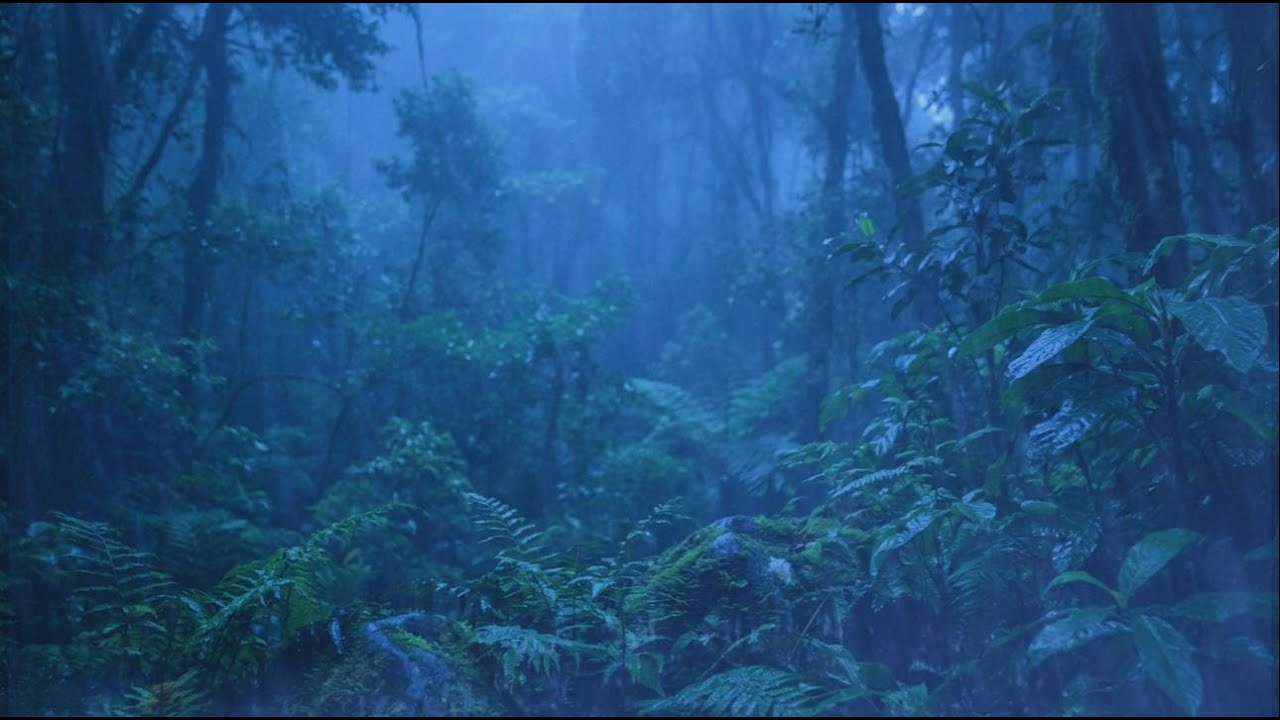 Thunderstorm Rain Sounds – ⛈️ Calm Heavy Rain on Cozy Night Sky for Deep Sleep Relief Tonight 😴