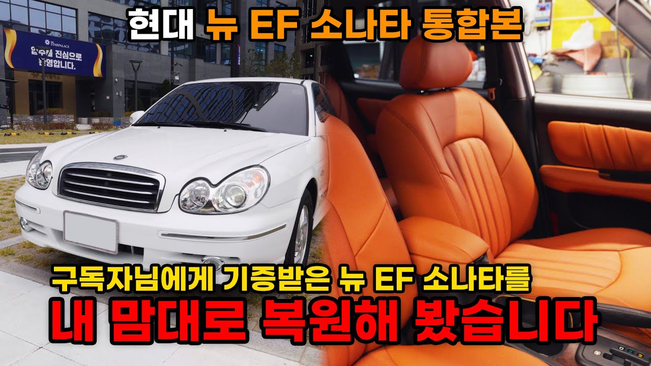 구독자님에게 기증받은 뉴 EF 소나타 제 마음대로 바꿔봤습니다