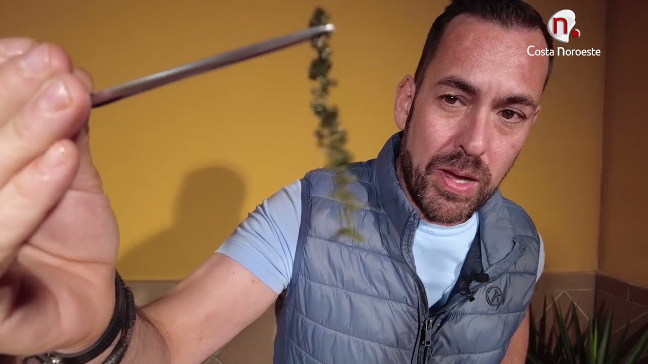 Vengo a cocinarte programa 9 - comida asiática