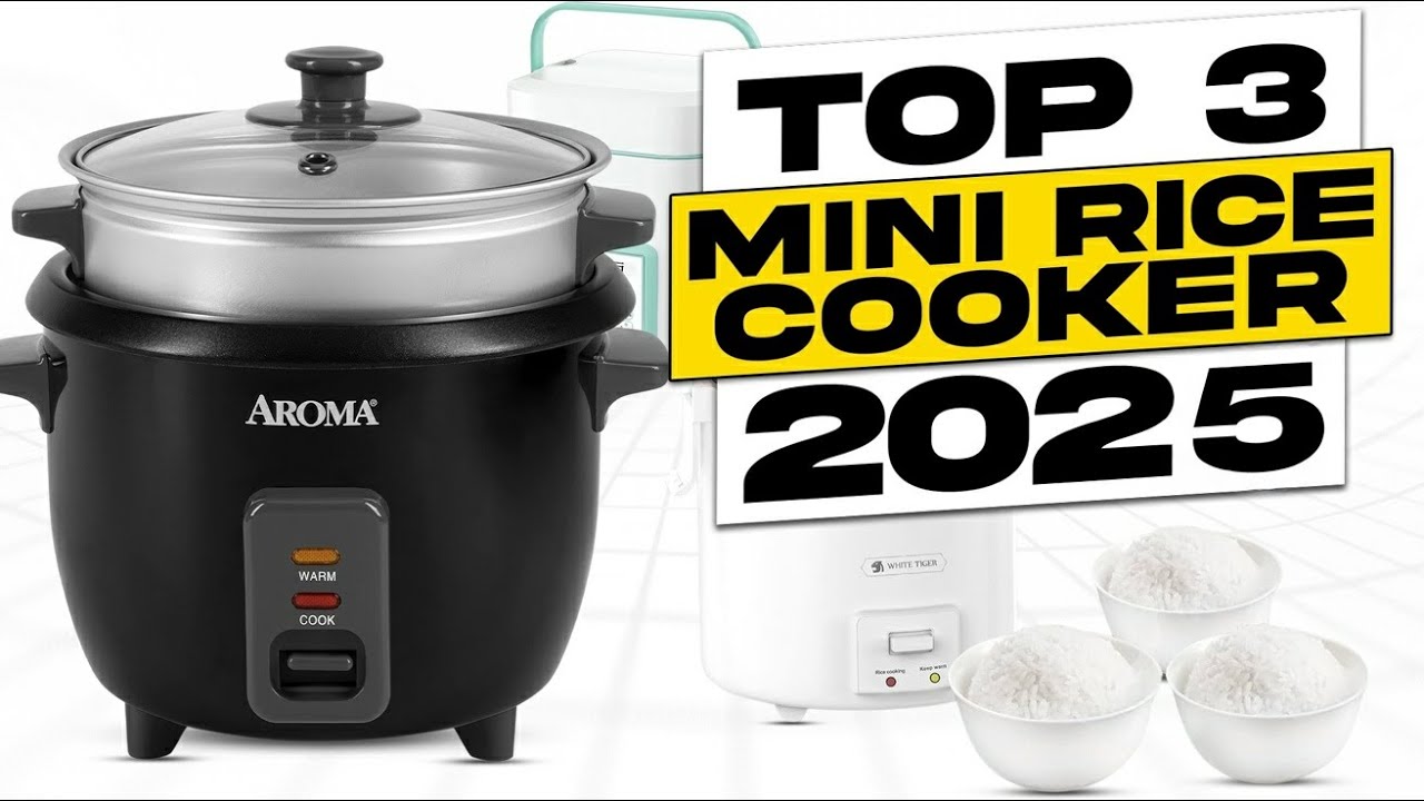 Top 3 BEST Mini Rice Cooker 2025