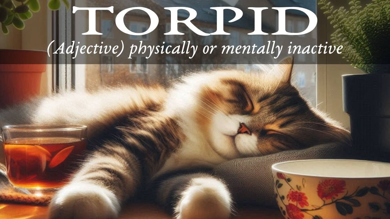 PLAY LIVE! Scrambled Words 