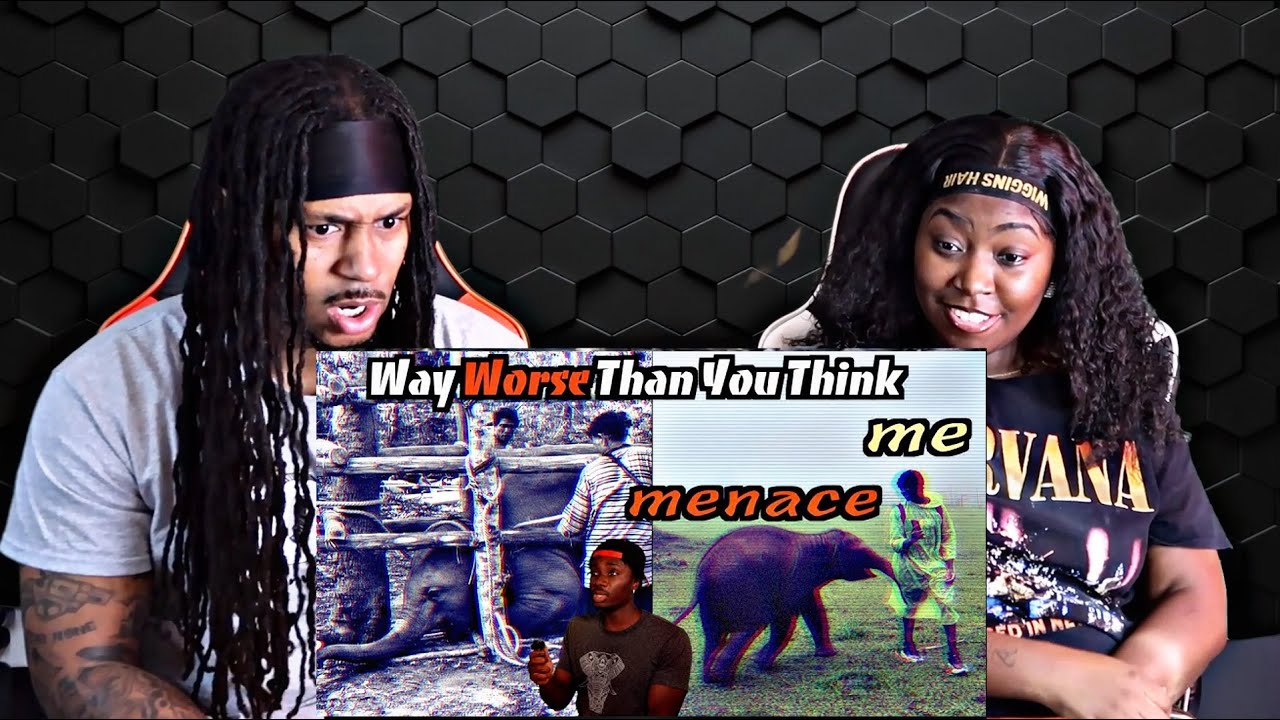 Why You Can't Have a Baby Elephant for Christmas (Casual Geographic) REACTION!!!