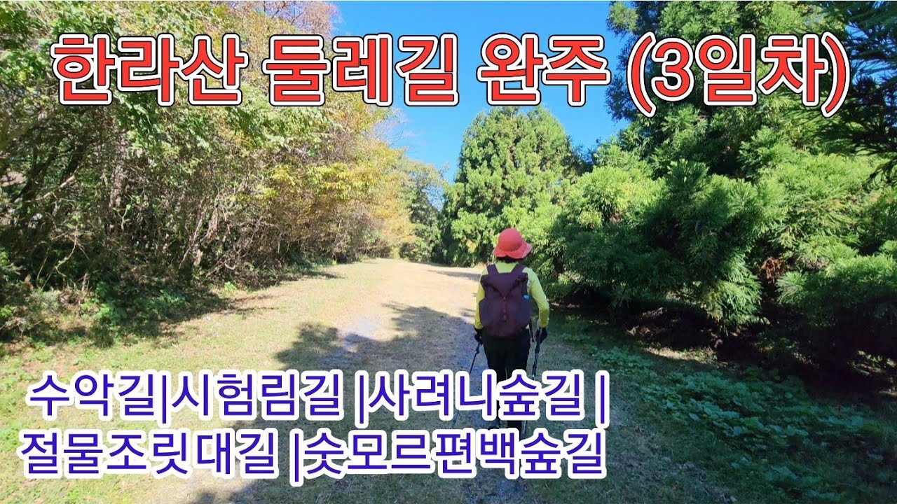 대중교통으로 한라산둘레길 완주 마지막날 3일차(10월 28일)|5구간 수악길|6구간 시험림길|7구간 사려니숲길|8구간 절물조릿대길|9구간 숫모르편백숲길