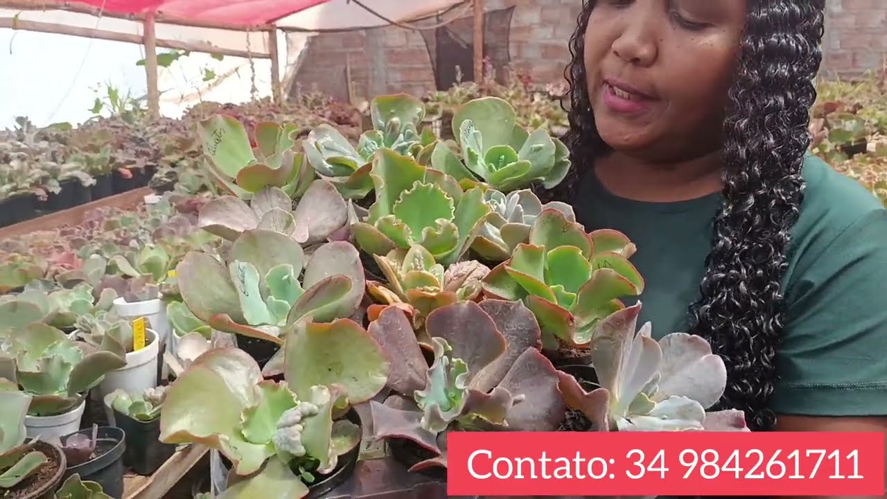 Catálogo Atualizado Kits na promoção 🌹🏃