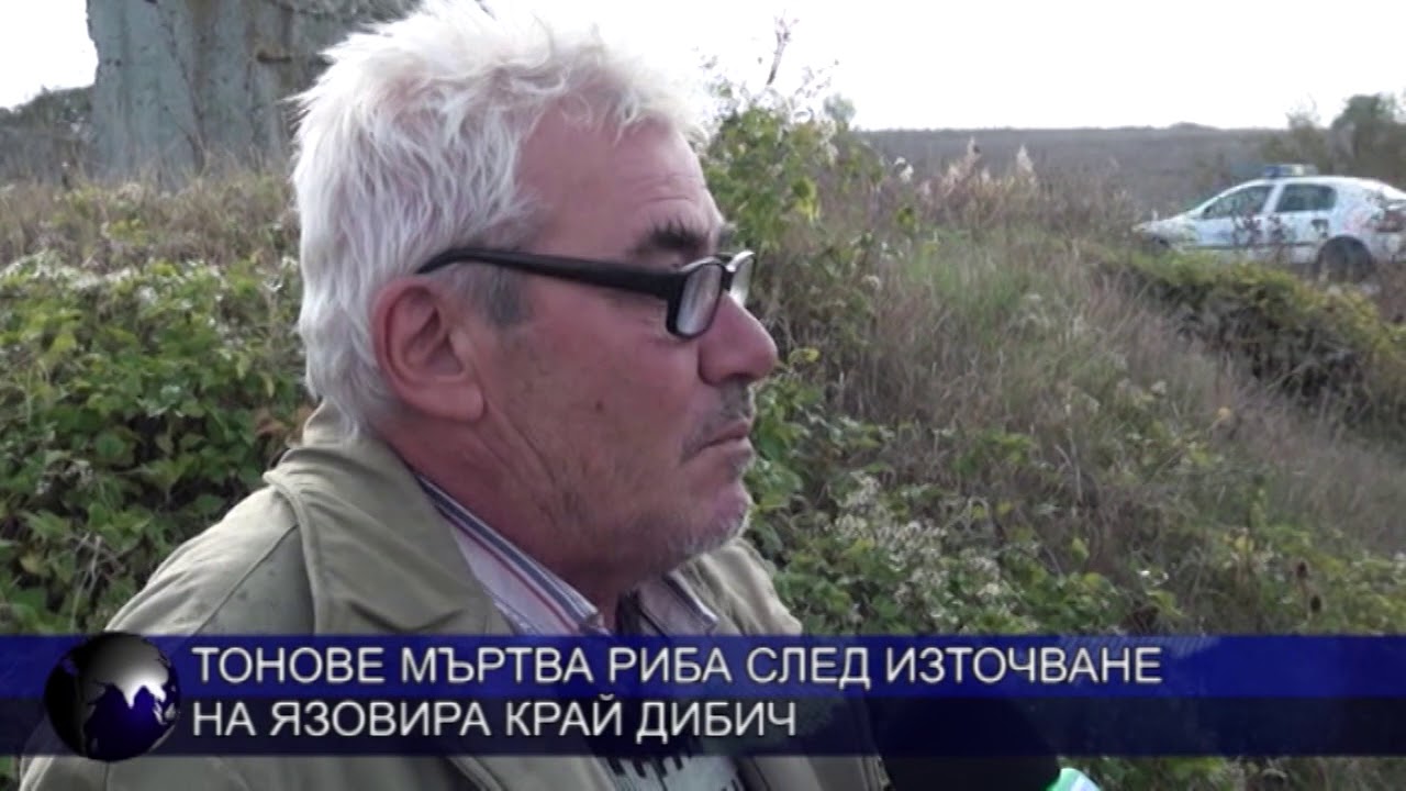 Тонове мъртва риба след източване на язовира край Дибич