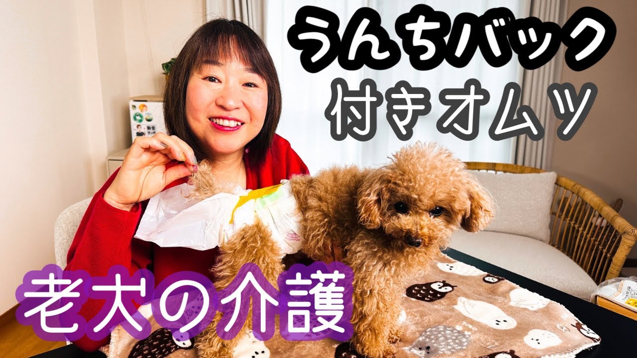 【うんちバッグ付きおむつの作り方】老犬介護やお腹を壊したわんちゃんに大活躍！手作りでしっかりキャッチ！！