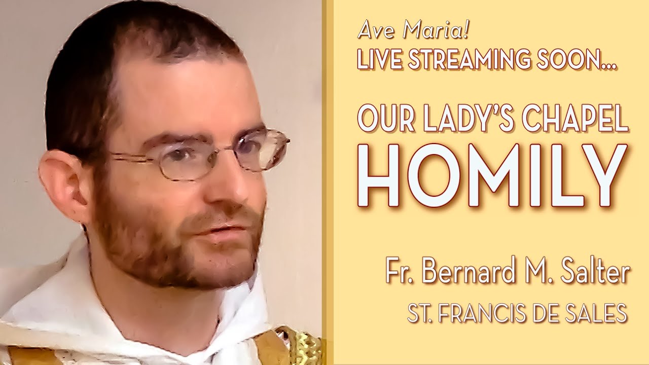 Memorial of St. Francis de Sales, Bishop and Doctor - January 24, 2026 - OLC HOMILY