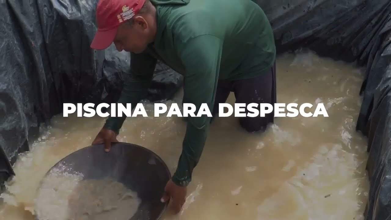 PICINA DE DESPESCA DE OURO, VOC&Ecirc; SABE O QUE &Eacute;? NAO? VOC&Ecirc; ESTA JOGANDO OURO FORA