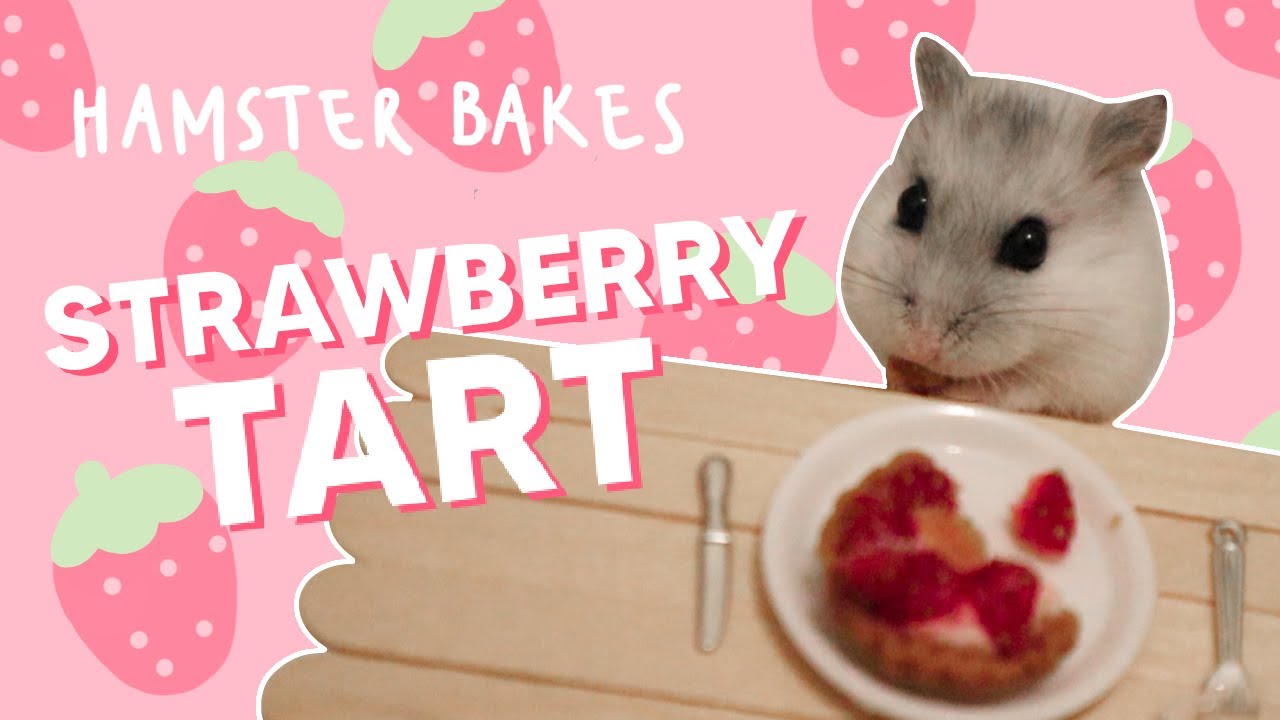 Baking My Dwarf Hamster a Tiny Strawberry Tart