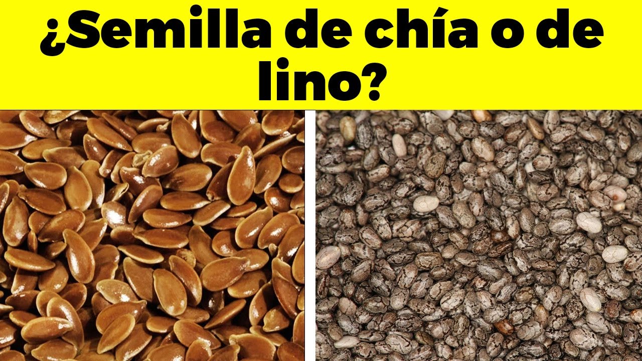 ¿Es mejor la Chía o las Semillas de lino?
