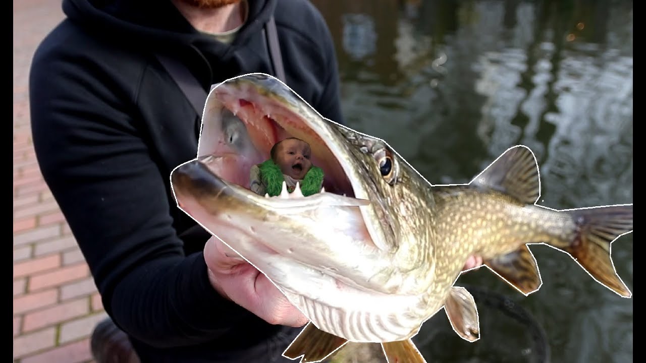 Family fishing trip with ducks