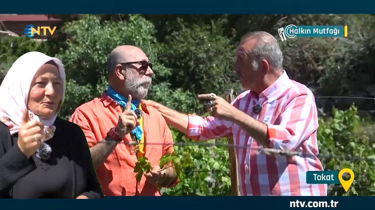 Narince Bağları - Kadının Gücü, Tokat'ın Gücü #bağ #üzüm #yaprak