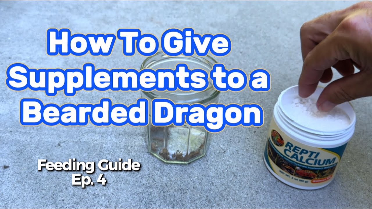 How to Give Supplements To Your Bearded Dragon Calcium, D3, Multivitamins (Feeding Guide Ep. 4)