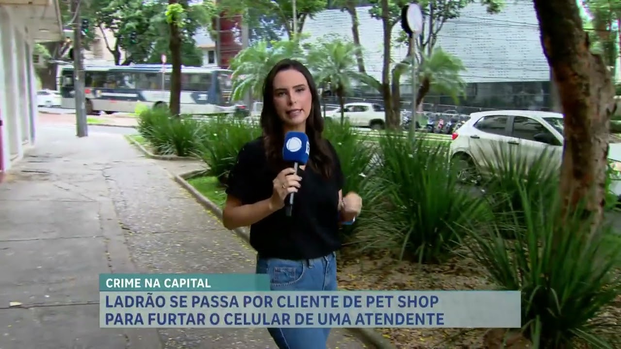 Ladrão se passa por cliente e furta celular em Pet Shop de Belo Horizonte