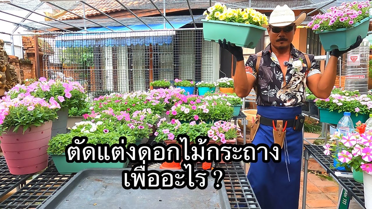เทคนิค การตัดแต่งดอกไม้ในกระถาง และการดูแล