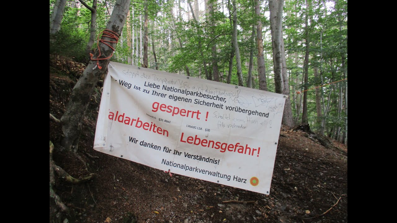 Ilsenburg; Der Osthang im Ilsetal