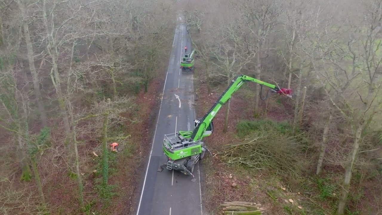 Sennebogen 728E Tree handler