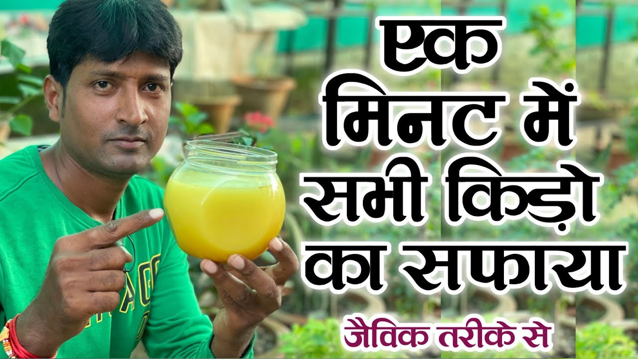 1 मिनट में सभी कीड़ों व फंगस का सफाया | All In One Pesticide For Plants | Organic Pesticide