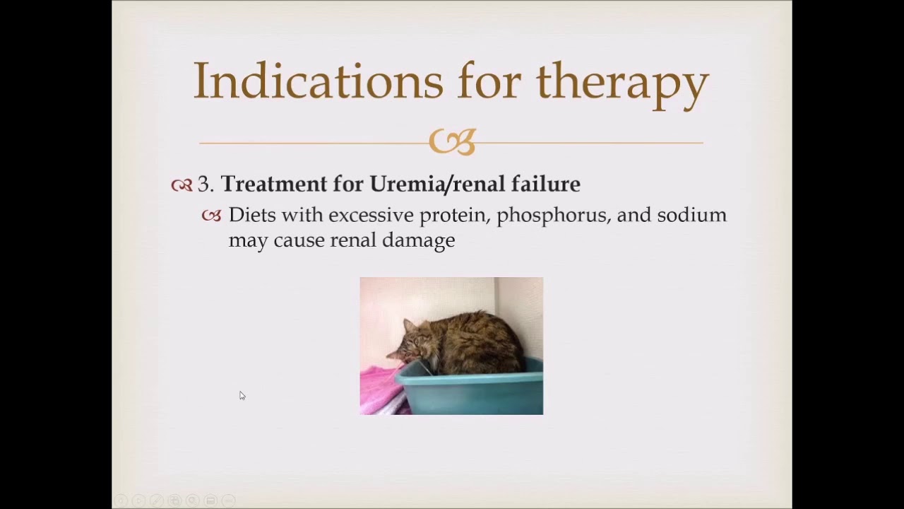 Applied Pharmacology Chapter 6, Urinary Drugs