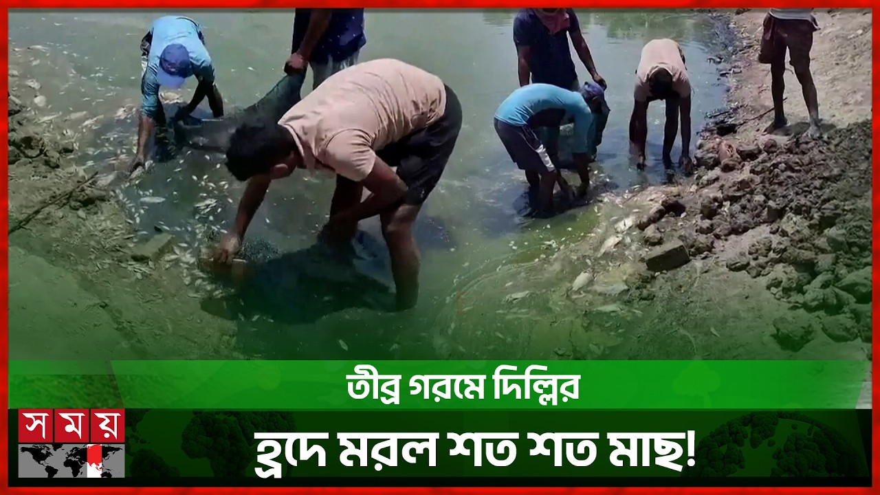 Delhi Devastated by 40-Degree Heat, Dead Fish Surface in Lake! | Delhi Lake | High Temperature