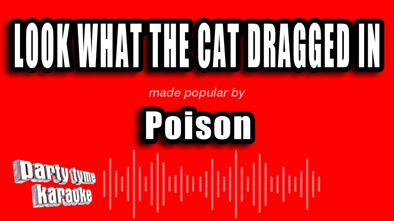 Poison - Look What The Cat Dragged In (Karaoke Version)