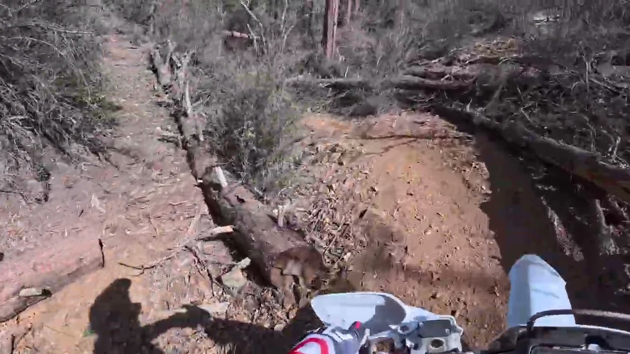 Ride was so good I had to split it into two parts! Arizona Single Track. 3-15-26 part 2.