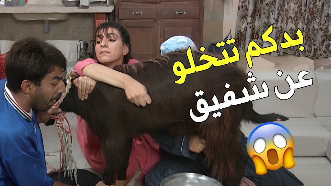 تخلو عن شفيق بعد ما جاب النعزة وبدو يعمل رز بحليب😂😂😱