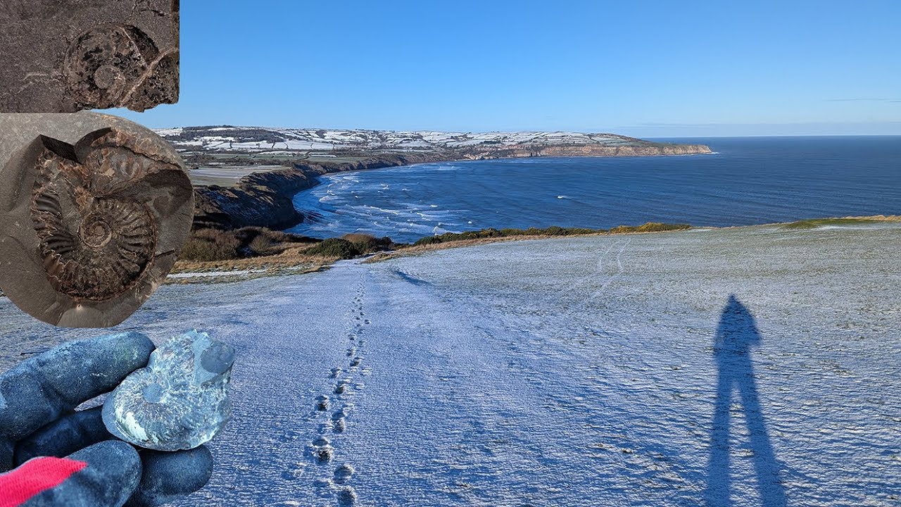 Walking in a fossil wonderland