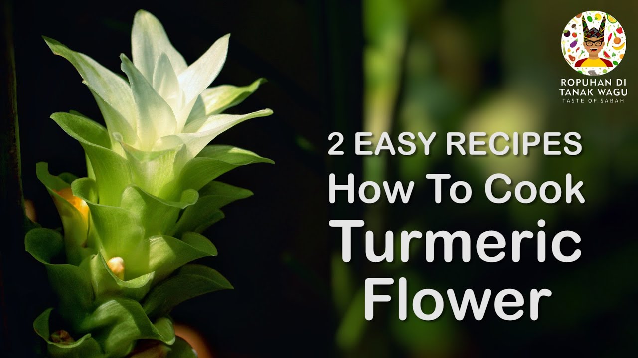2 Easy Recipes How to Cook Turmeric Flower | 2 Resipi Mudah Masak Bunga Kunyit