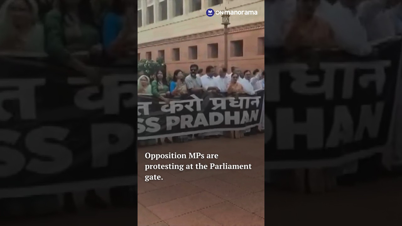 Opposition MPs are protesting at the Parliament gate.