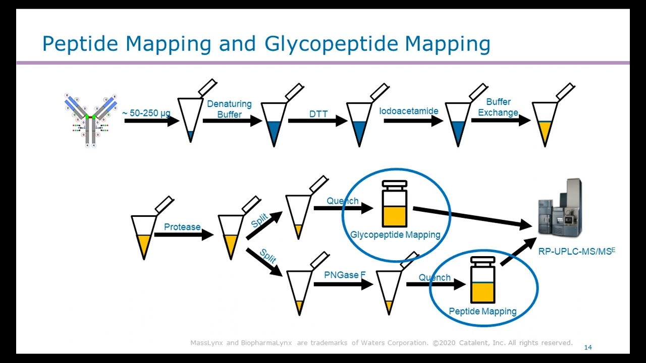 Exploring New and Improved Analytical Methods for Traditional and Unique Modalities