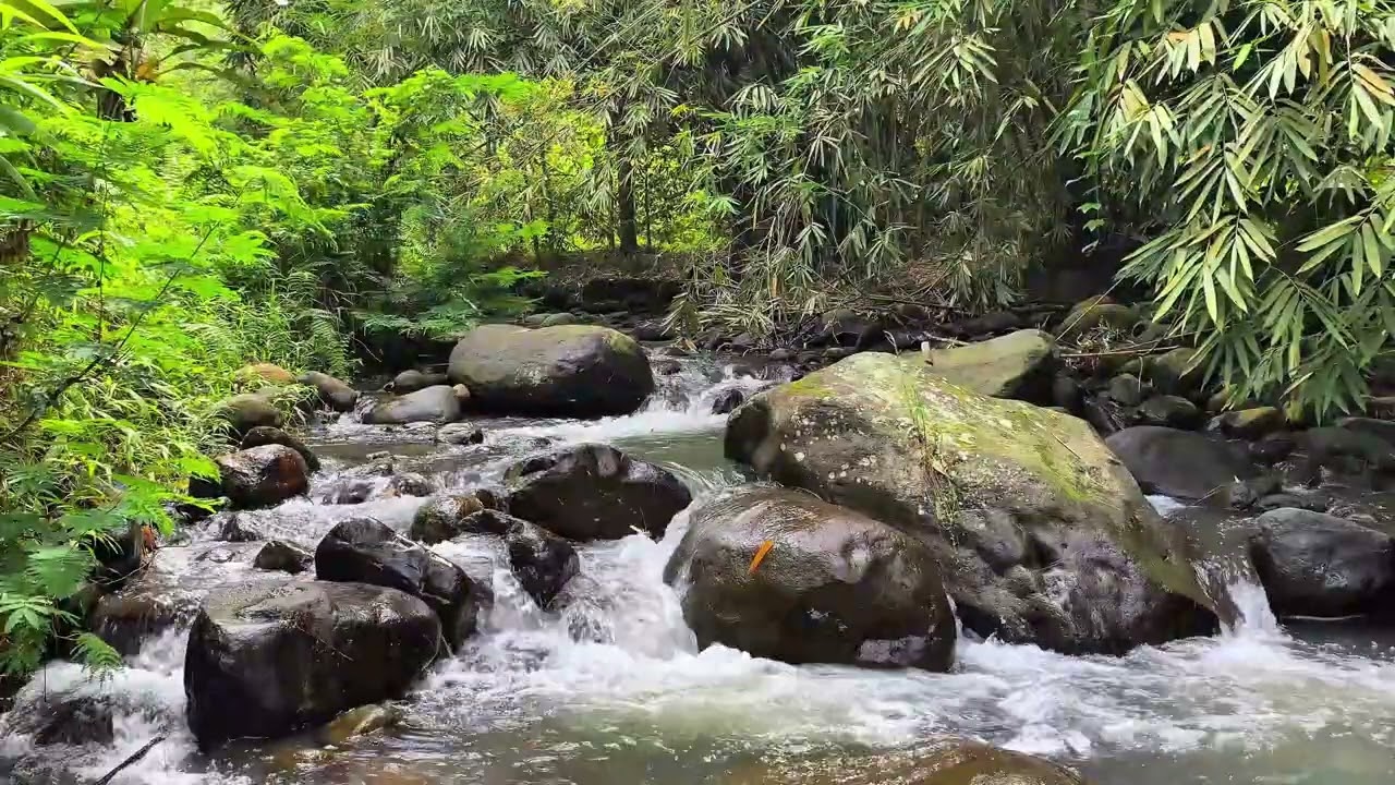 😌 Total Relaxation | Soft Rippling Water In Tranquil Forest Setting
