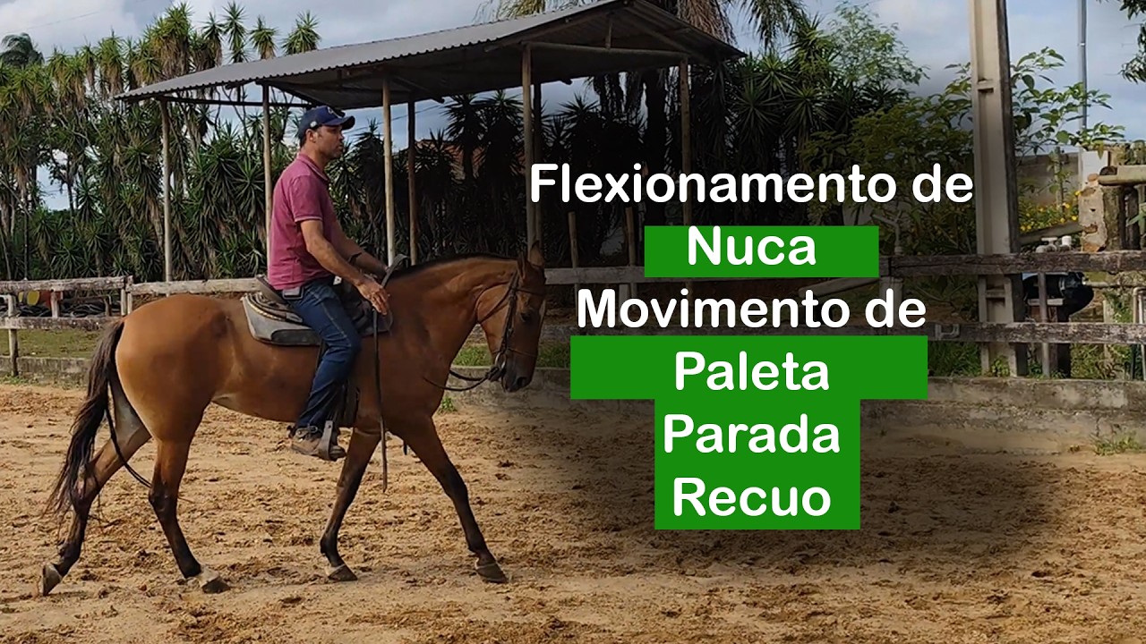 Flexionamento de Nuca + Bônus