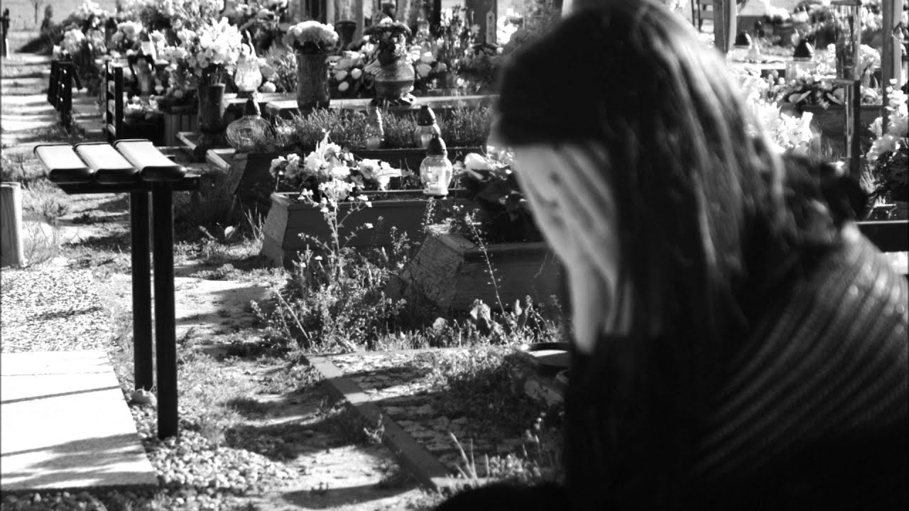Fotografia poklatkowa, autor Monika Goldyn