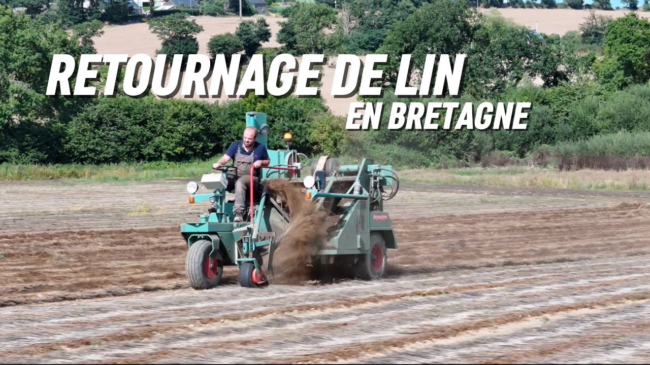 ⛅️RETOURNAGE DE LIN 2024 EN BRETAGNE👌 Les liniculteurs Bretons💨