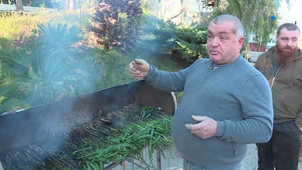 La tradition des calçots catalans à l'assaut des Pyrénées-Orientales grâce à une production locale