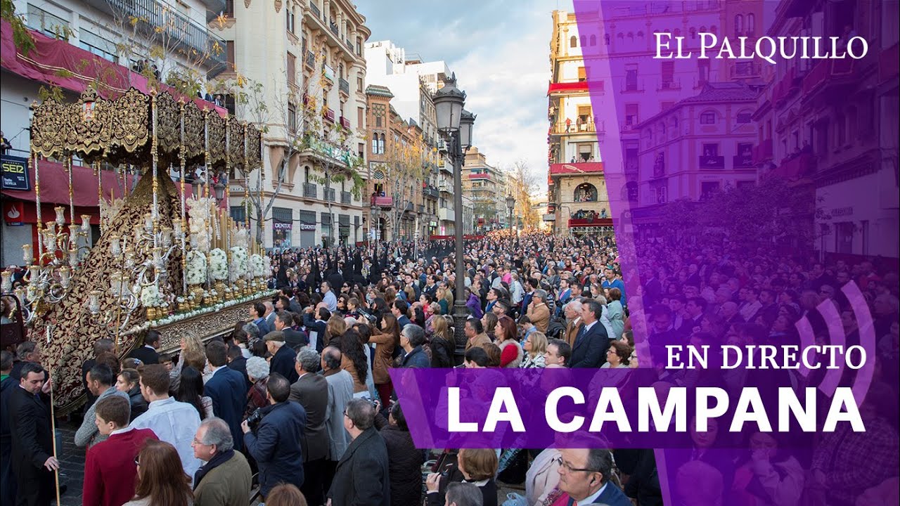 🔴 LUNES SANTO EN SEVILLA 2024 | DIRECTO LA CAMPANA