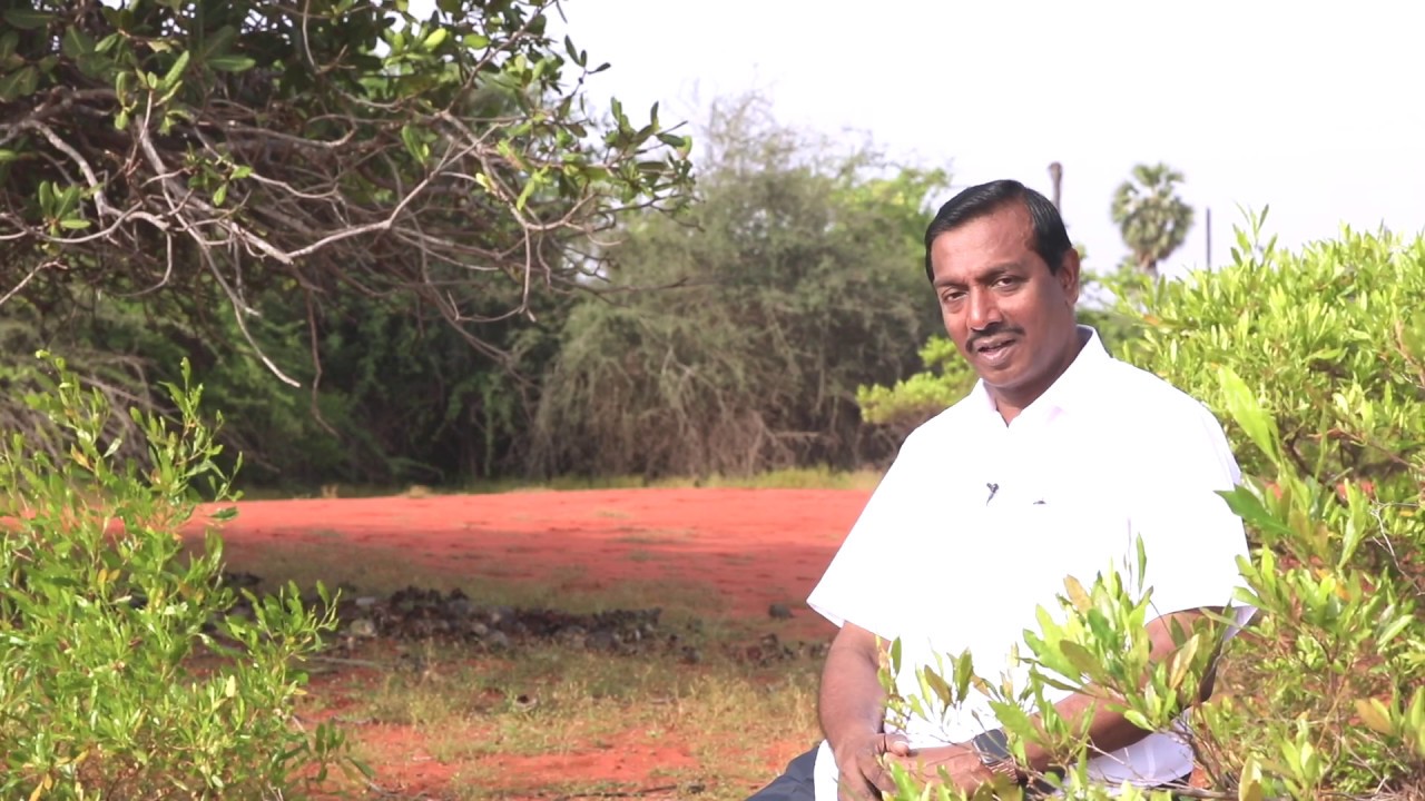 போராடினவர்களை தேடியும் காணாதிருப்பாய் ! Walk with Jesus | Bro. Mohan C Lazarus | FEB 26