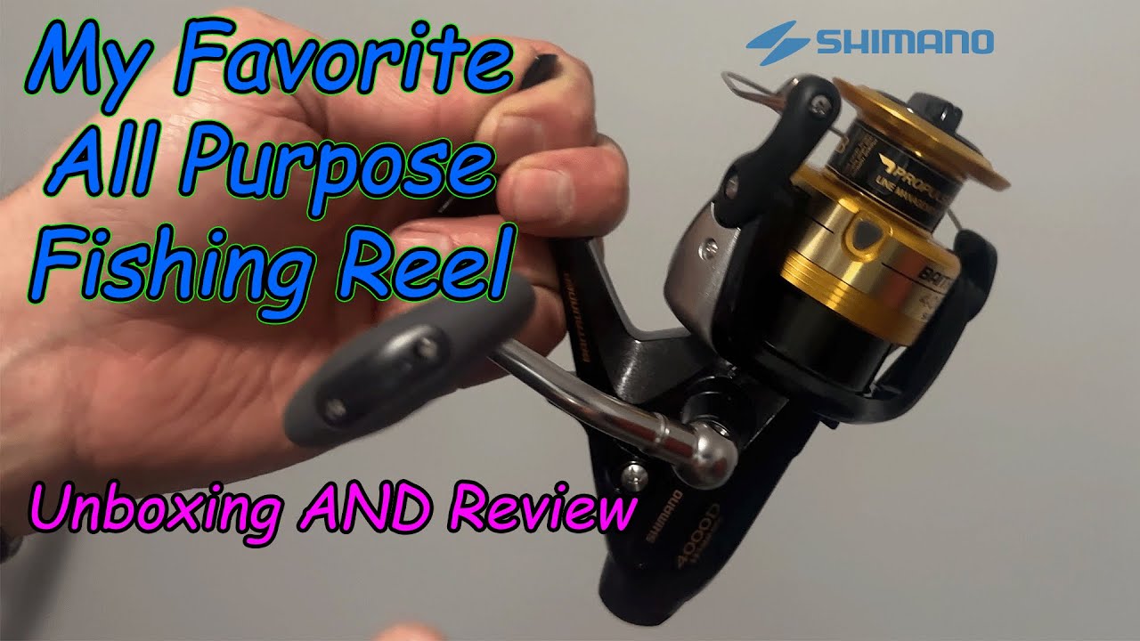 SHIMANO Baitrunner D