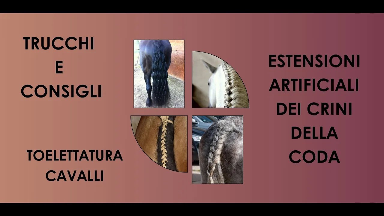 ♘ Cavalli || Estensioni artificiali dei crini della coda || Toelettatura