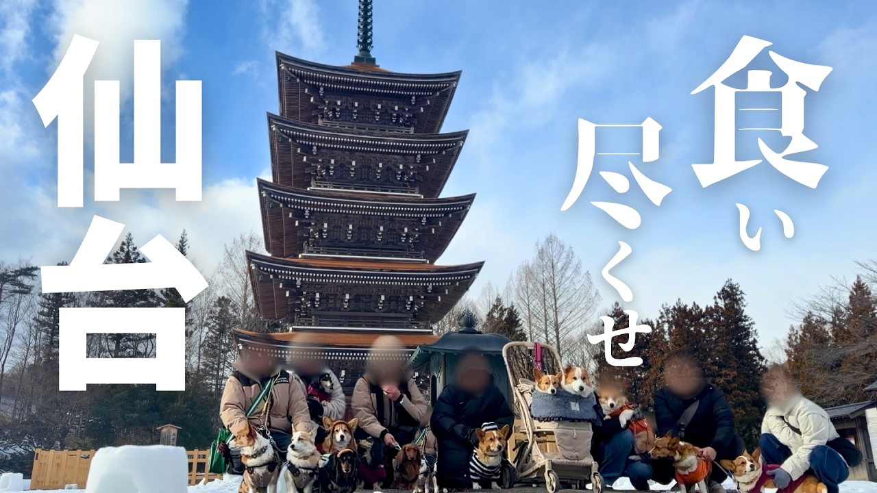 【仙台観光】東北コーギーズに案内してもらい仙台の美味しいものを食べてきました