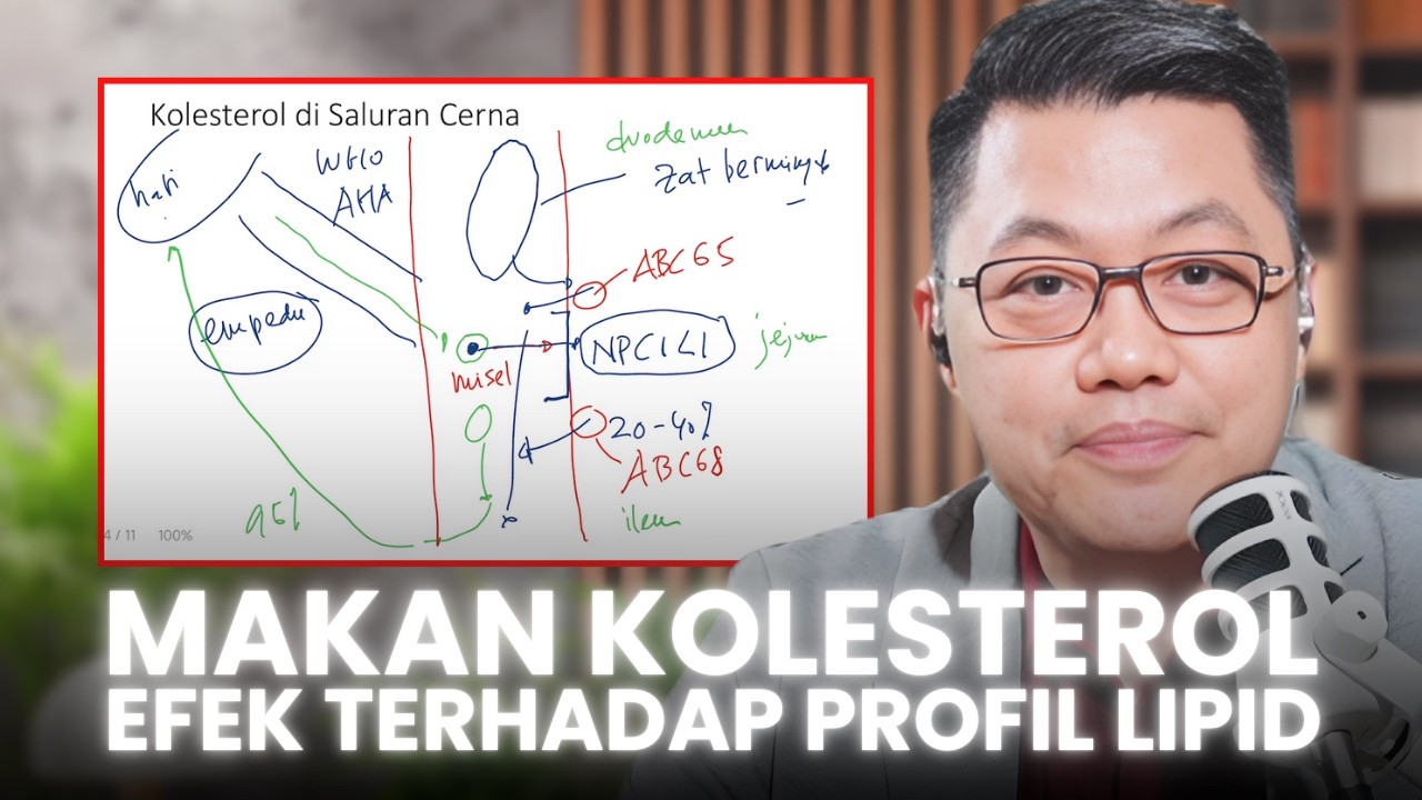 MAKAN KOLESTEROL - Efek Terhadap Profil Lipid