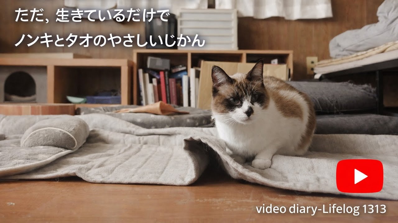 【何もできなくてもいい】ただ、生きているだけで　ノンキとタオのやさしいじかん video diary-Lifelog 1313