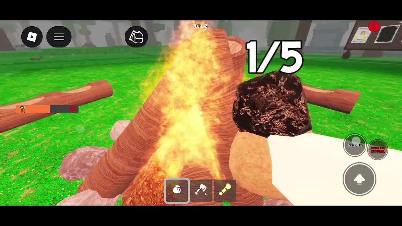 99 dias na floresta 