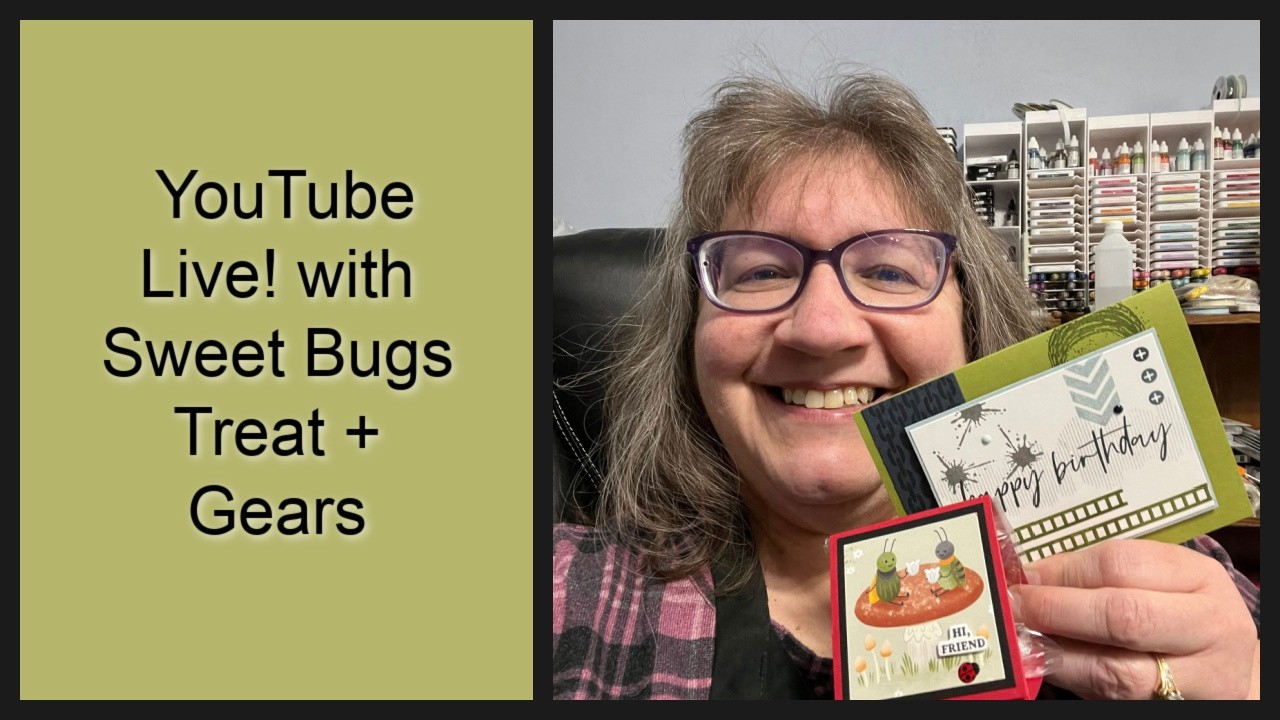 YouTube Live! with a Sweet Bugs Treat + Gears